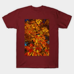 Autumn leaves. T-Shirt